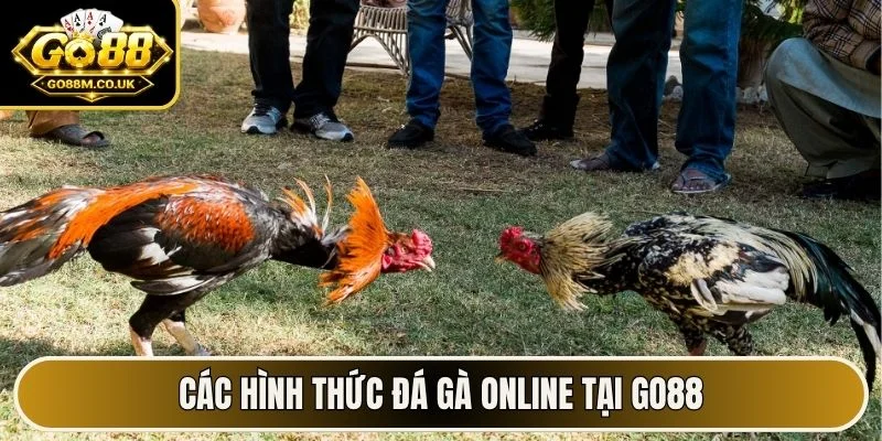 Các hình thức đá gà online tại Go88