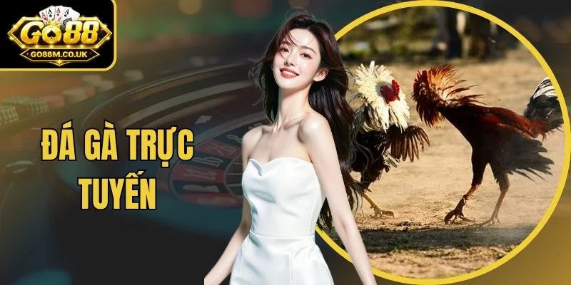 Đá Gà Trực Tuyến
