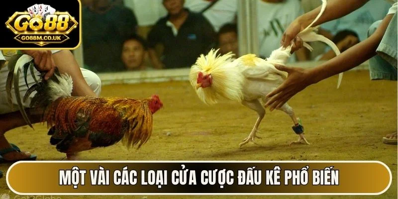 Một vài các loại cửa cược đấu kê phổ biến